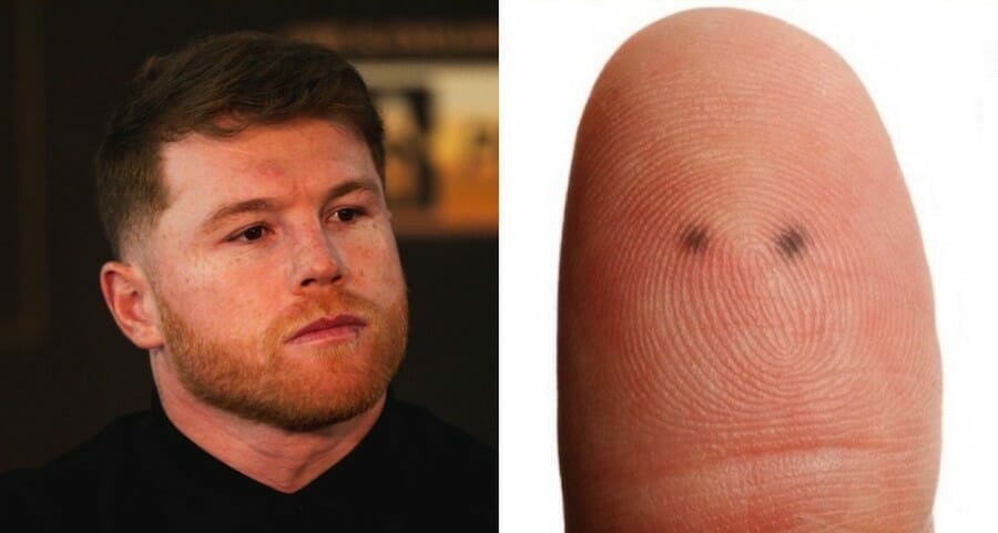 Canelo Alvarez Look Alike