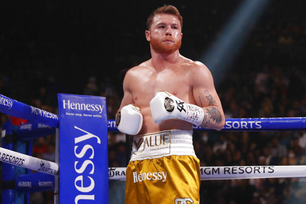 Canelo has only two defeats in his professional boxing career