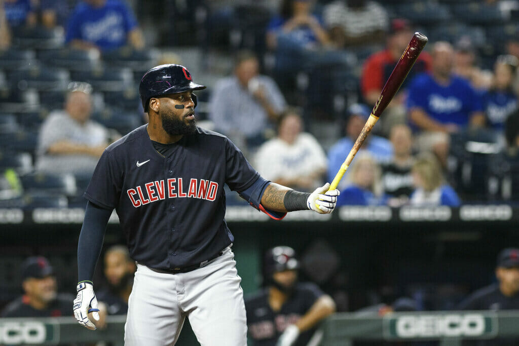 2022 Designated Hitter - Franmil Reyes