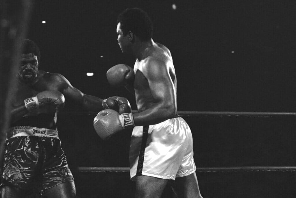 fondo de pantalla de guantes de boxeo eternos