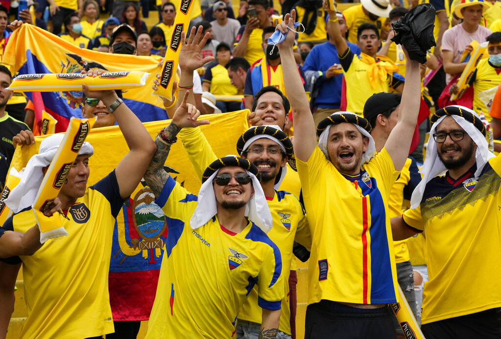 Qatar vs Ecuador Predictions Picks Betting Odds Group Stage