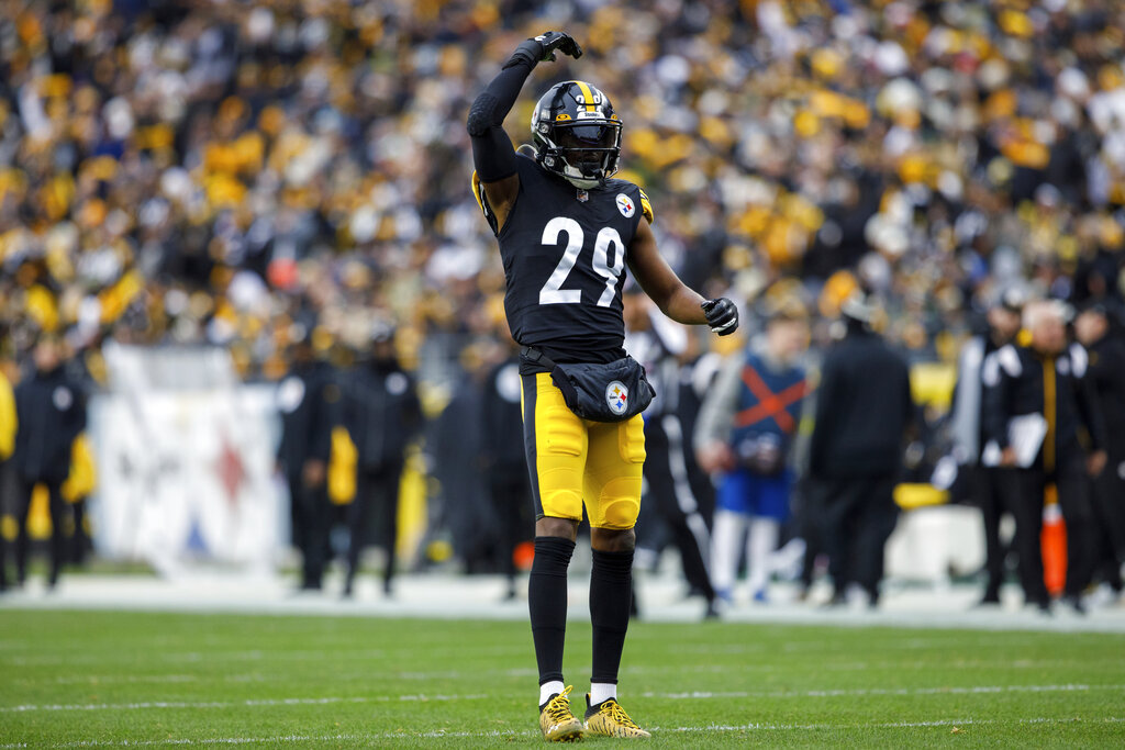 Pittsburgh Steelers Predictions Picks Betting Odds