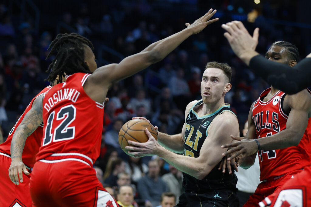 Hornets vs Bulls Predictions Picks Betting Odds