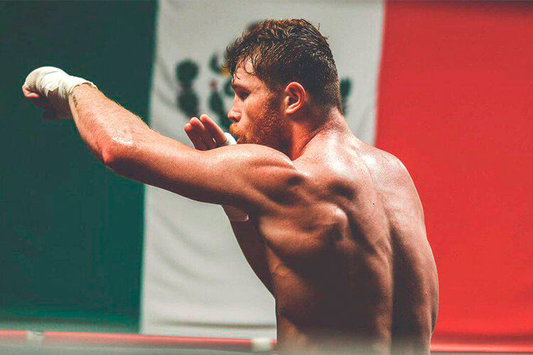 Canelo Alvarez vs John Ryder Predictions, Picks, Odds, Preview