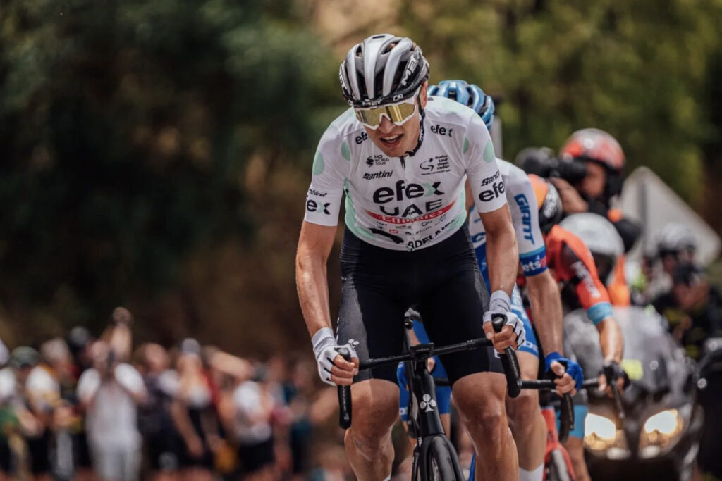 Giro d'Italia 2023 Predictions Picks Betting Odds