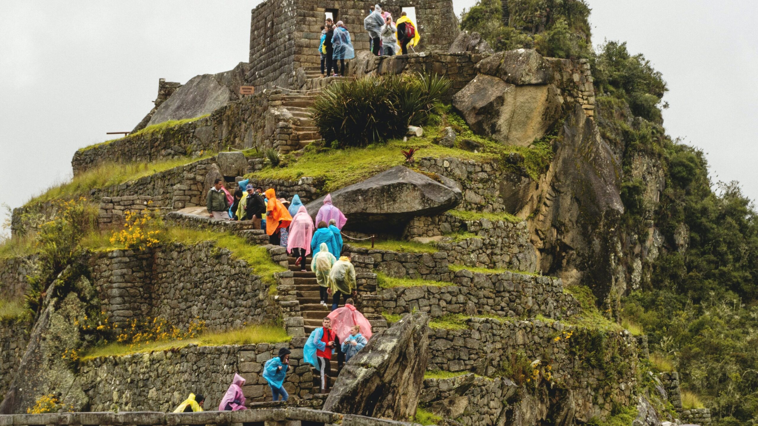 ¿Cómo ganar dinero en Perú?