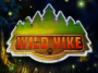 Wild Hike Slot Game Review 2024